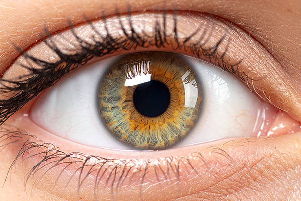 Clear, healthy eye with sharp vision after LASIK surgery